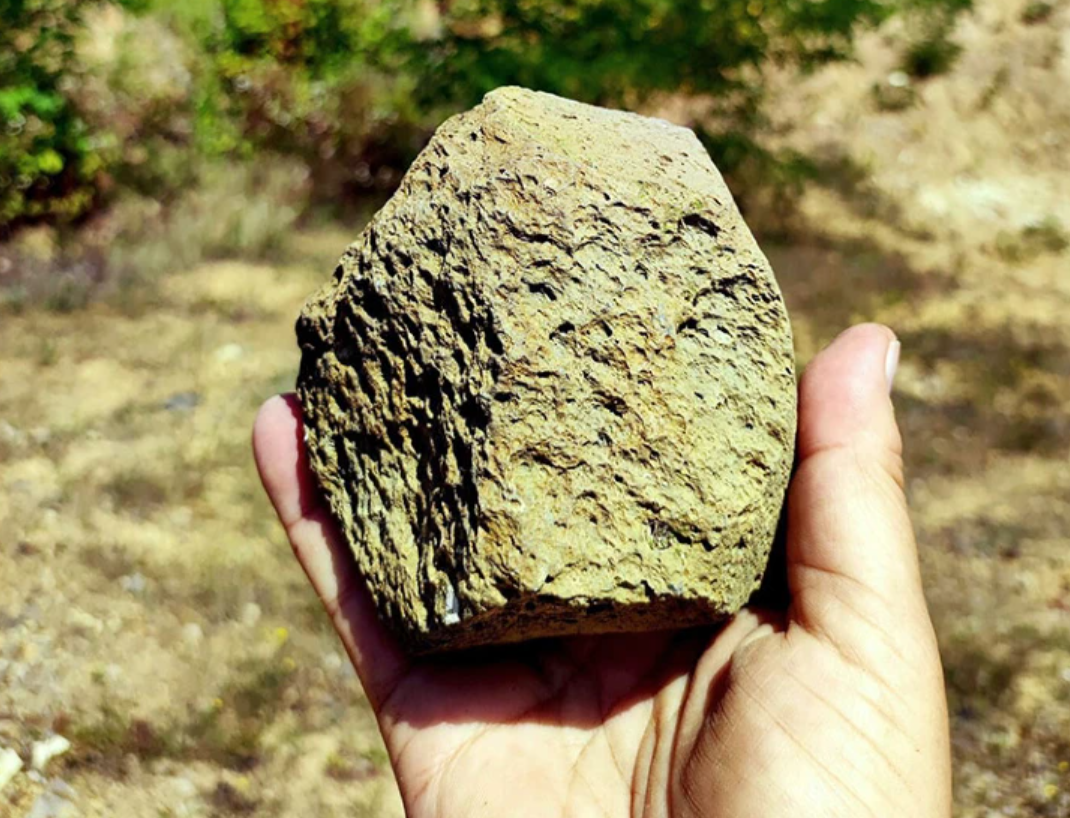 Старейшее человеческое поселение Европы нашли на западе Украины: ему 1,4 млн лет